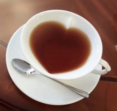 image1.jpeg