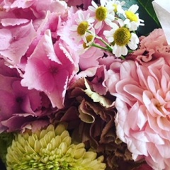 image1.jpeg